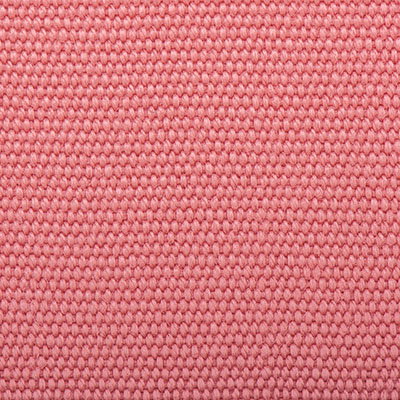 R-105-Salmon