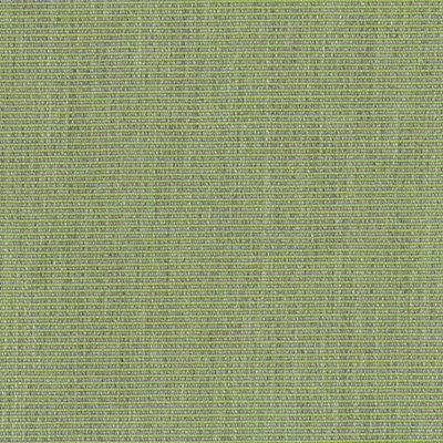 R-313-Iguana-Tweed
